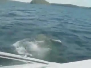 Real couple fuck on a boat film